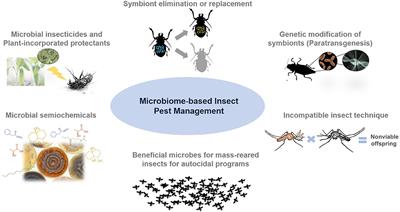 Microbiome Innovation in Agriculture: Development of Microbial Based Tools for Insect Pest Management